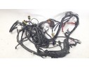CABLEADO ELECTRICO 1D003481 1D003481 