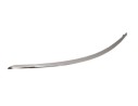 MOLDURAS TRASERAS A1698851674 A1698851674 ME4201253 107142317