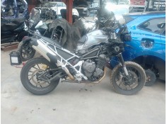 triumph tiger del año 2025