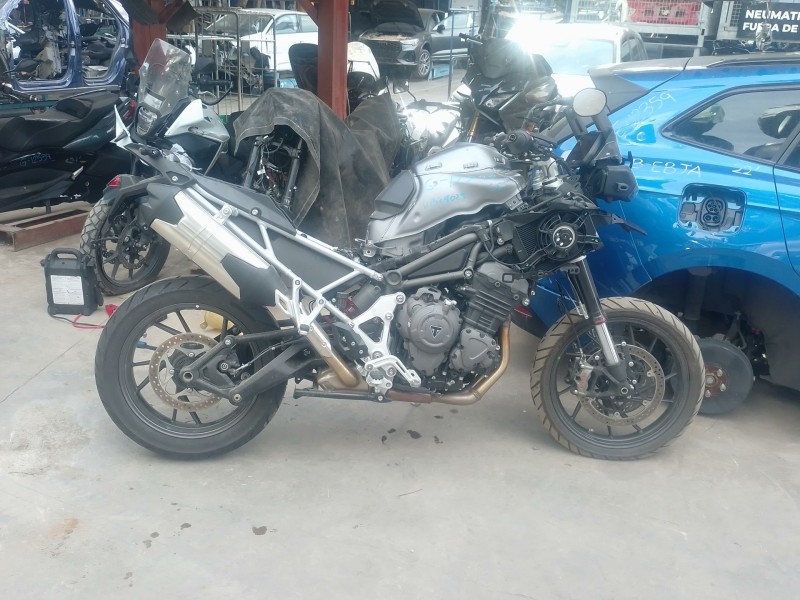 triumph tiger del año 2025