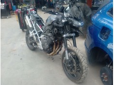 triumph tiger del año 2025 2