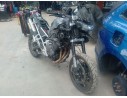 TRIUMPH TIGER