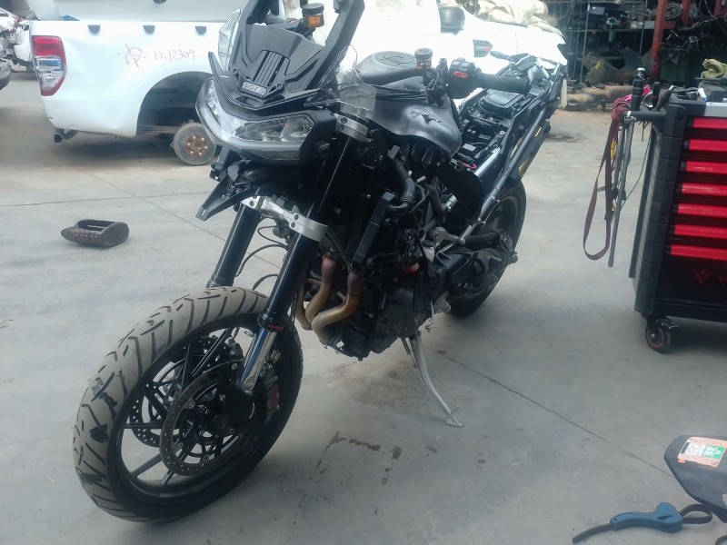 triumph tiger del año 2025