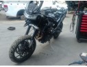 TRIUMPH TIGER