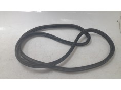 GOMAS CONTORNO PUERTA A2477403500 