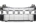 REJILLA PARAGOLPES CENTRAL 7414VH 7414VH 107172904/1081003/PG4242120