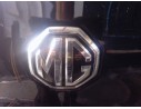 MANETA EXTERIOR PORTON 10433072 