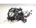 CABLEADO ELECTRICO BMS825900100 BMS825900100 