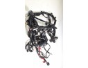 CABLEADO ELECTRICO BMS825900100 BMS825900100 