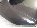 PORTON TRASERO 41007423832 41007423832 