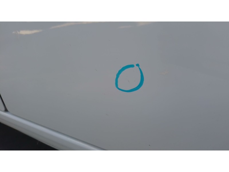 Recambio de puerta delantera derecha para renault kangoo express (fw0/1_) 1.5 dci 95 (fw16) referencia OEM IAM   