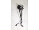 CABALLETE LATERAL T2082009 