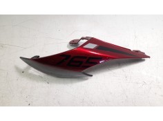 Recambio de moldura para triumph street triple 765 rs street triple 765 rs referencia OEM IAM T2313004   2