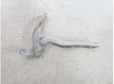 BISAGRA CAPO IZQUIERDA 9881199680 9881199680 