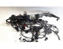 CABLEADO ELECTRICO T2507659 