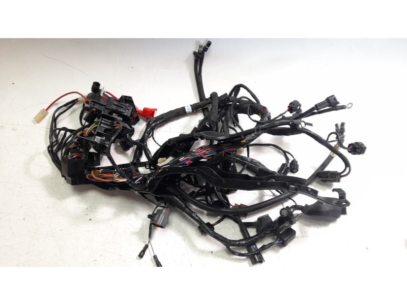 Recambio de cableado electrico para triumph street triple 765 rs street triple 765 rs referencia OEM IAM T2507659  