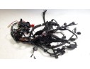 CABLEADO ELECTRICO T2507659 