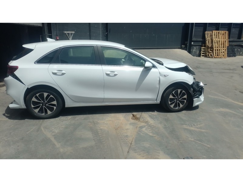 kia ceed (cd) del año 2024