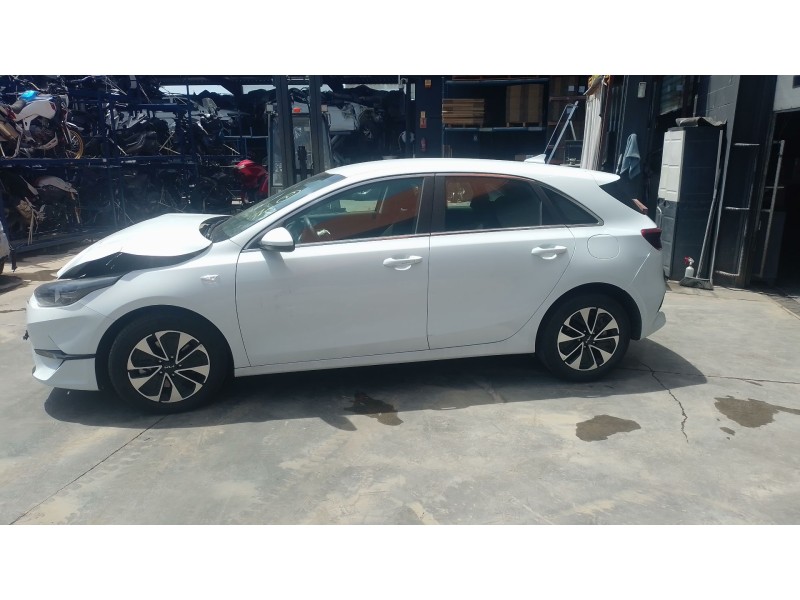 kia ceed (cd) del año 2024