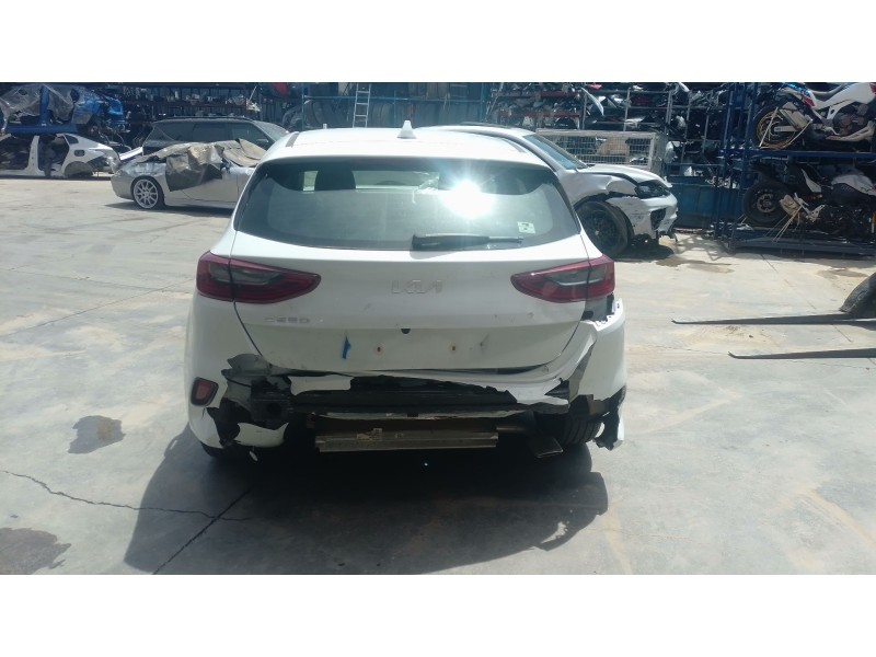 kia ceed (cd) del año 2024