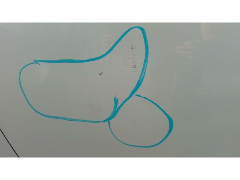 Recambio de puerta delantera izquierda para kia ceed (cd) 1.0 t-gdi referencia OEM IAM   