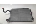 RADIADOR AGUA 253L0AO200 253L0AO200 