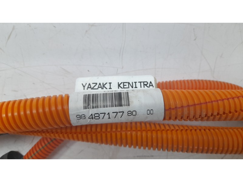 Recambio de cableado electrico para citroën c4 x e-shine referencia OEM IAM 9848717780  