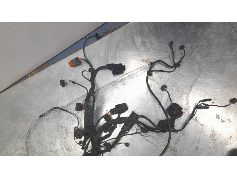 Recambio de cableado electrico para bmw f (801cc - ) f 900 r a2 (4r90) referencia OEM IAM 61111539463  