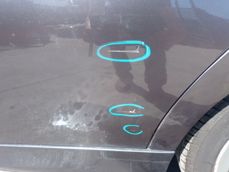 Recambio de puerta trasera izquierda para bmw 3 (e90) 320 d referencia OEM IAM   