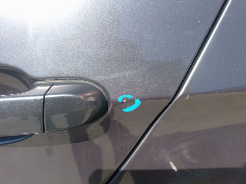 Recambio de puerta trasera izquierda para bmw 3 (e90) 320 d referencia OEM IAM   