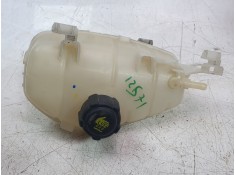 Recambio de deposito expansion para renault kangoo express (fw0/1_) 1.5 dci 95 (fw16) referencia OEM IAM 217103179R   2