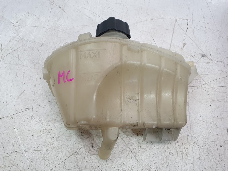 Recambio de deposito expansion para renault kangoo express (fw0/1_) 1.5 dci 95 (fw16) referencia OEM IAM 217103179R  