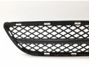 REJILLA PARAGOLPES CENTRAL 51117154556 51117154556 107061415/210110E/BM0242120