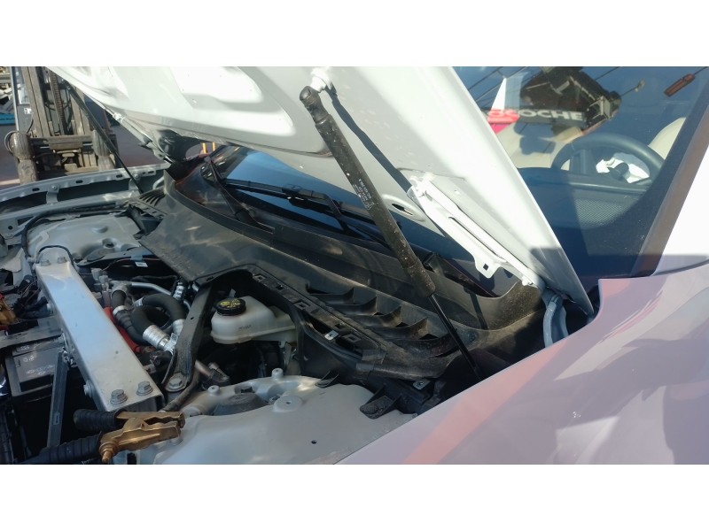 Recambio de amortiguadores capo para porsche macan (xab) 4 electric (xabbb1, xabfd1) referencia OEM IAM   