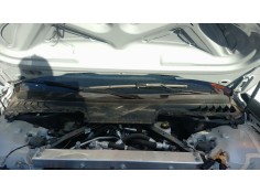 TORPEDO 