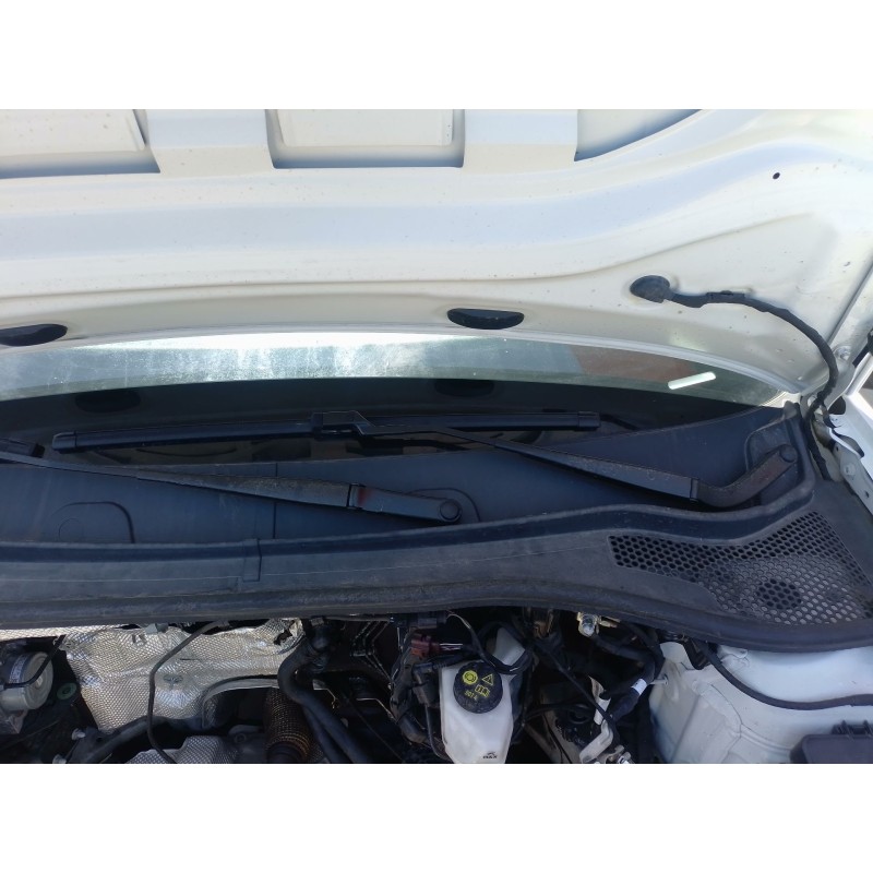 Recambio de motor limpia delantero para seat leon (kl1, klg) 1.0 tsi referencia OEM IAM   