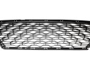 REJILLA PARAGOLPES CENTRAL 622544890R 622544890R 107085904/5721105/DA8242120
