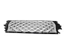 REJILLA PARAGOLPES CENTRAL 622544890R 622544890R 107085904/5721105/DA8242120
