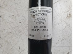 Recambio de amortiguador trasero izquierdo para citroën ami (9a_) electric (9az2ca) referencia OEM IAM 9849126980   2