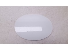 TAPA EXTERIOR COMBUSTIBLE 0000156151441 0000156151441 