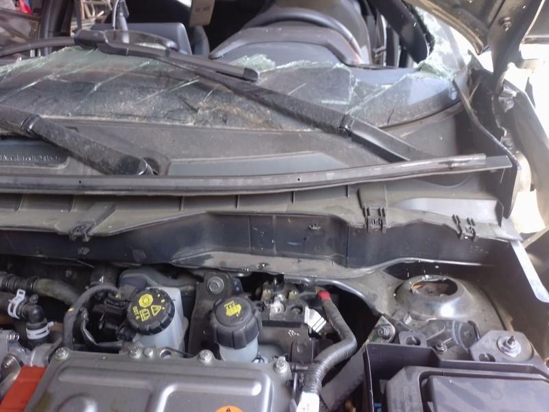 Recambio de motor limpia delantero para nissan juke (f16_) 1.6 hybrid referencia OEM IAM   