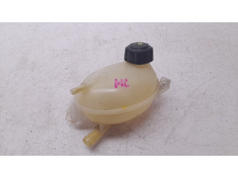 Recambio de deposito expansion para dacia duster (hs_) 1.2 tce 125 referencia OEM IAM 217107259R  CZWRE005