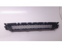 REJILLA PARAGOLPES CENTRAL 11222233 11222233 