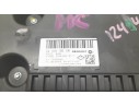 CUADRO INSTRUMENTOS 248091560R 248091560R 