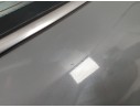 PORTON TRASERO 41007378205 41007378205 