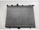 RADIADOR AGUA 9827174680 9827174680 550296/CI510R001 A008L702