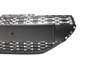 REJILLA PARAGOLPES CENTRAL 9672794380 107174205/PG3262001/P205100D