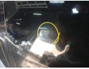 PORTON TRASERO C2D1159 