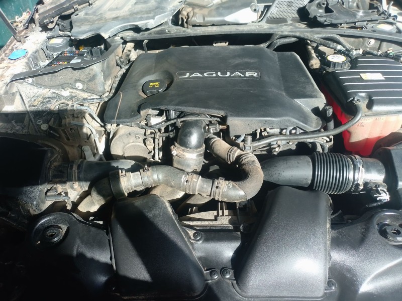 Recambio de alternador para jaguar xj (x351) 3.0 sdv6 referencia OEM IAM   