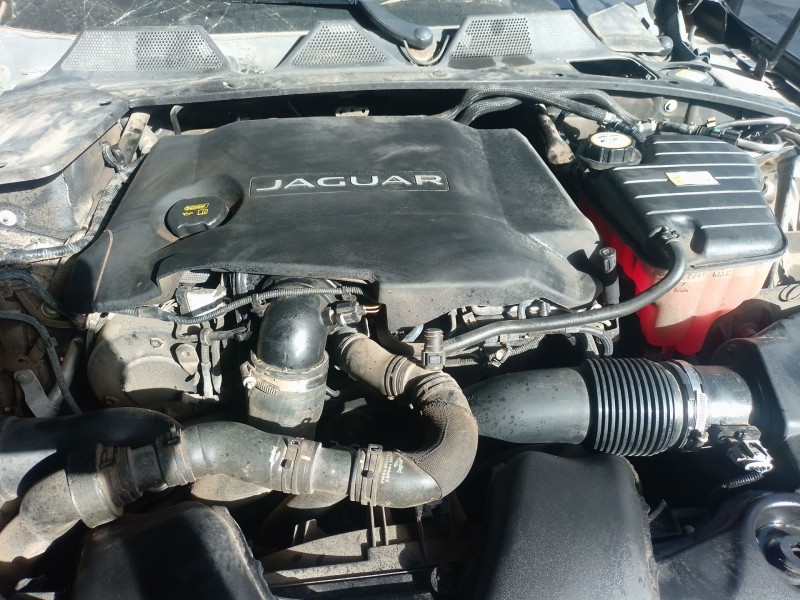 Recambio de catalizador para jaguar xj (x351) 3.0 sdv6 referencia OEM IAM   